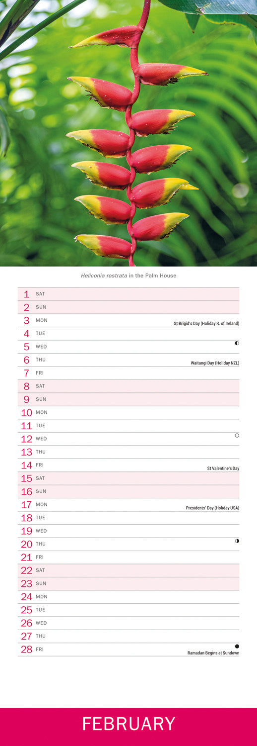 Royal Botanic Gardens Kew in Colour (PFP) Slim Calendar 2025