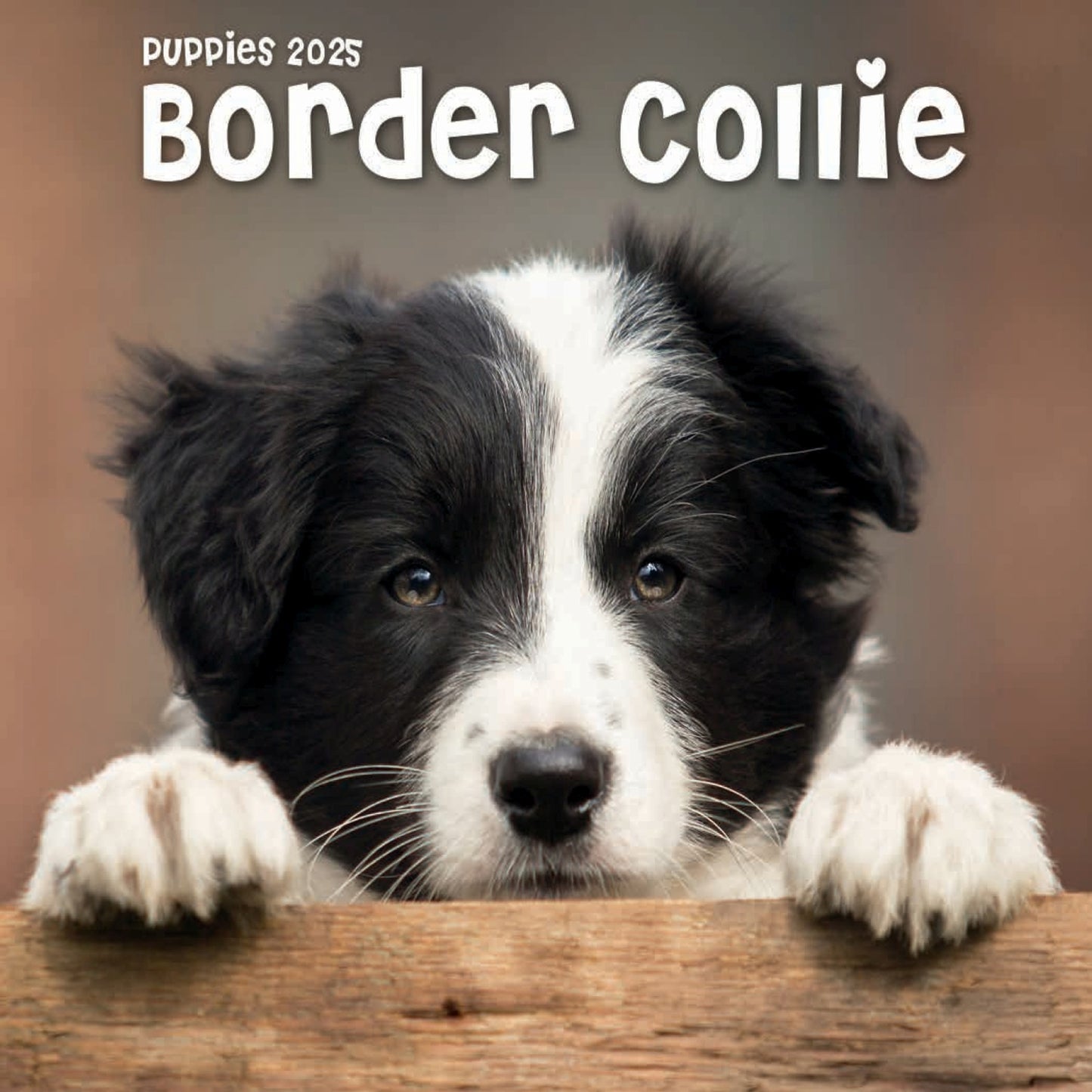 Border Collie Puppies Mini Calendar 2025