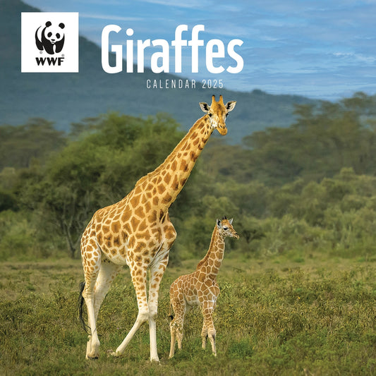 WWF Giraffes (PFP) Wall Calendar 2025