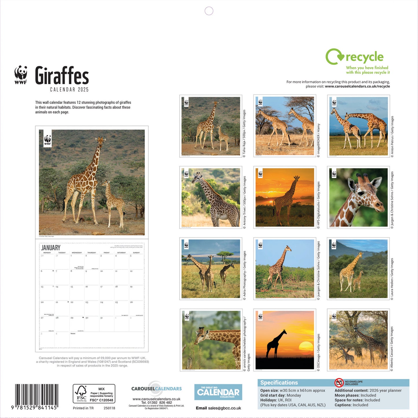 WWF Giraffes (PFP) Wall Calendar 2025