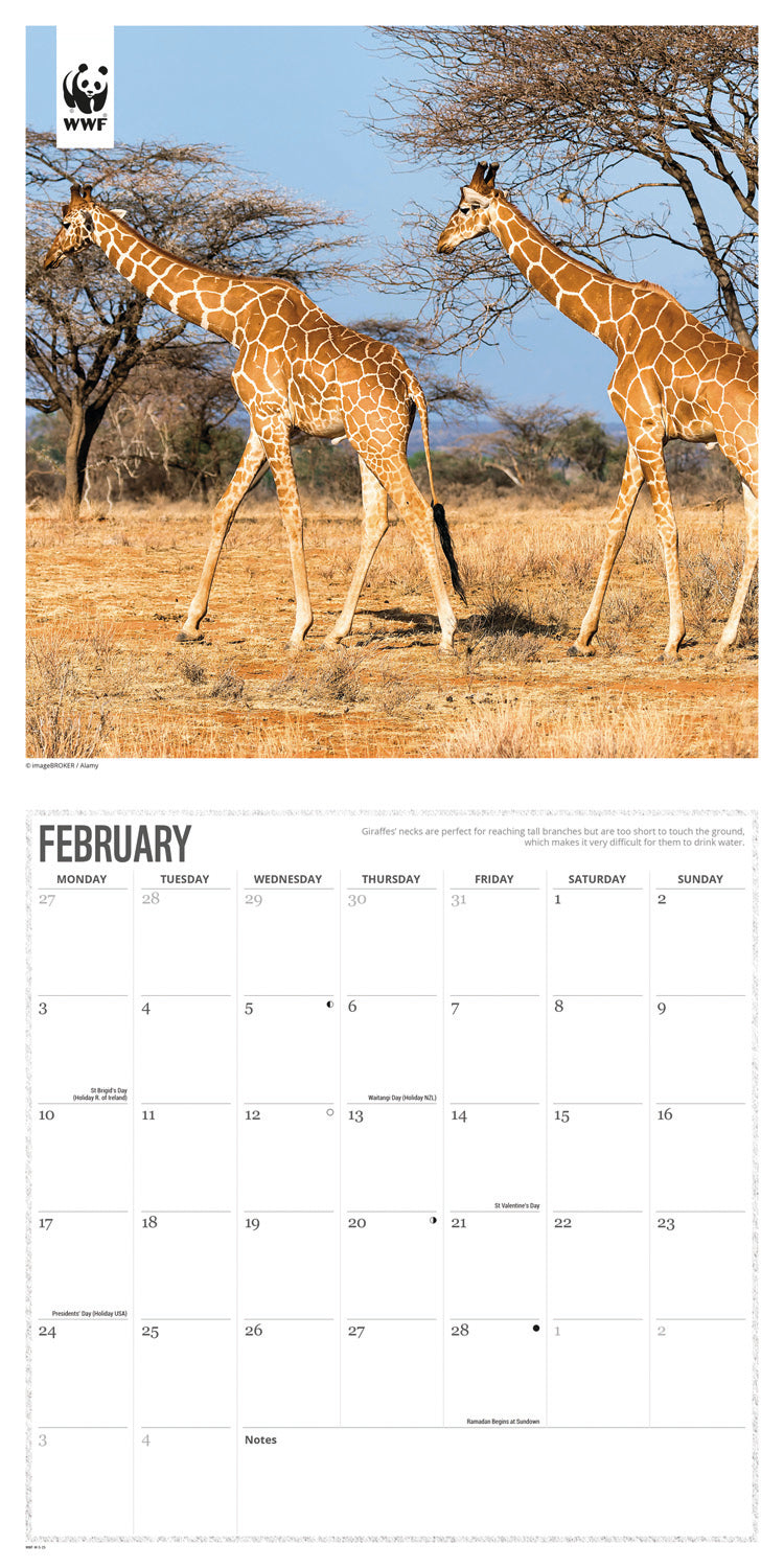 WWF Giraffes (PFP) Wall Calendar 2025