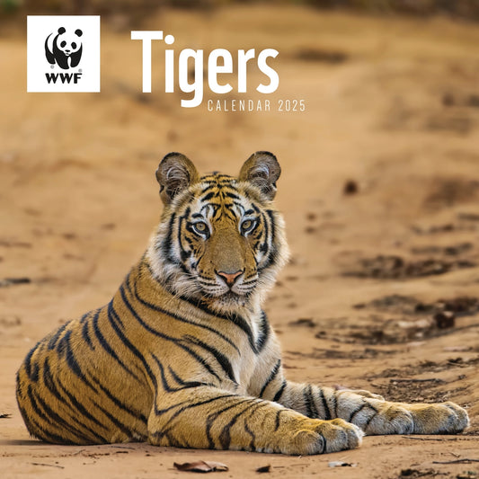 WWF Tigers (PFP) Wall Calendar 2025