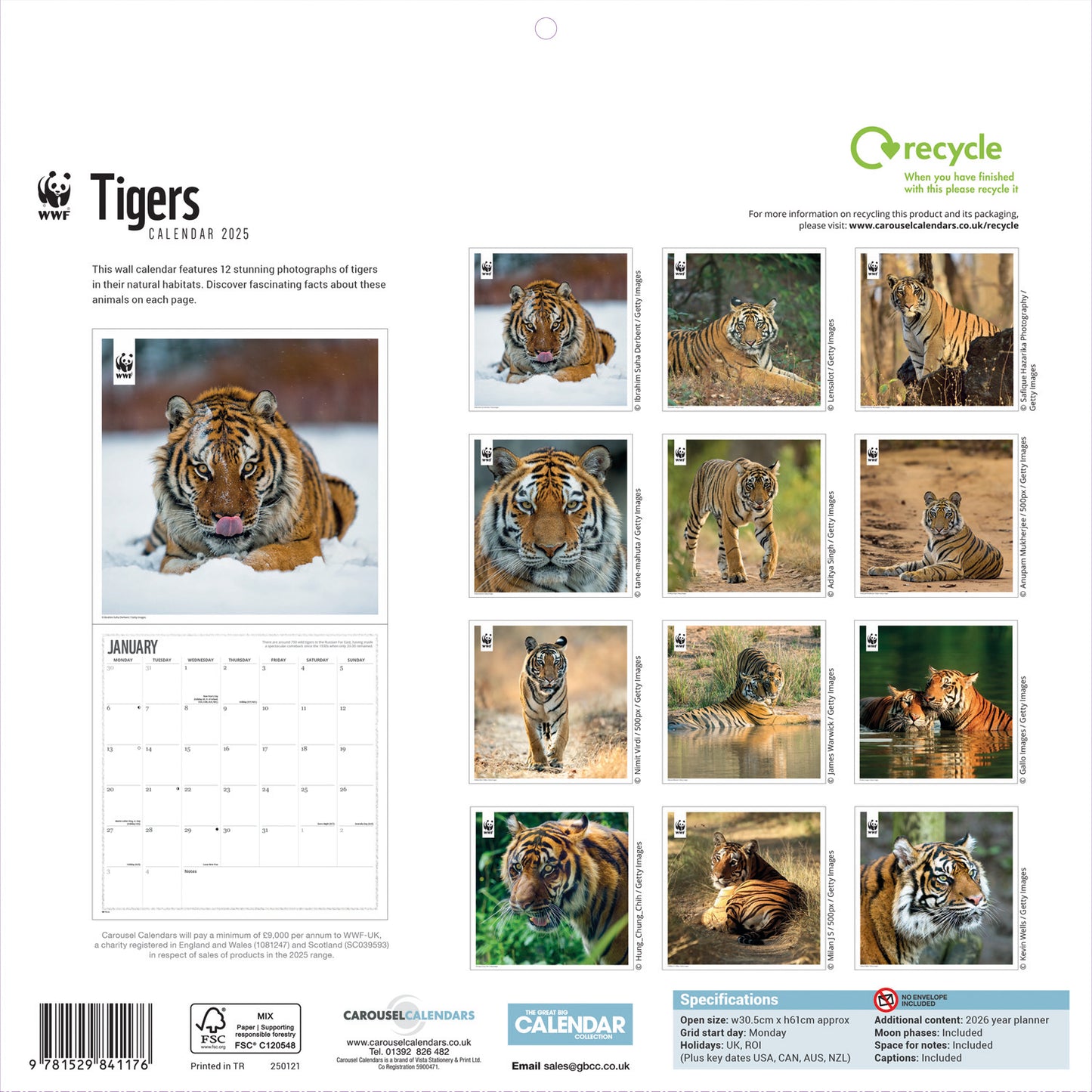 WWF Tigers (PFP) Wall Calendar 2025