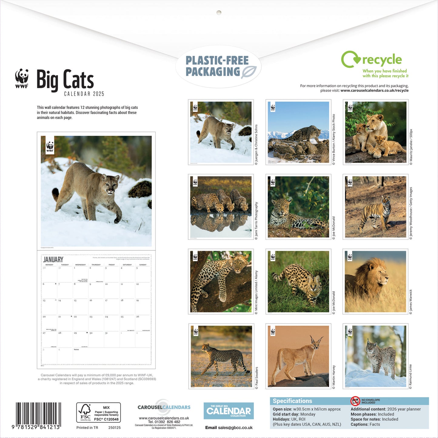 WWF, Big Cats (PFP) Wall Calendar 2025