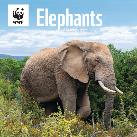 WWF, Elephants (PFP) Wall Calendar 2025