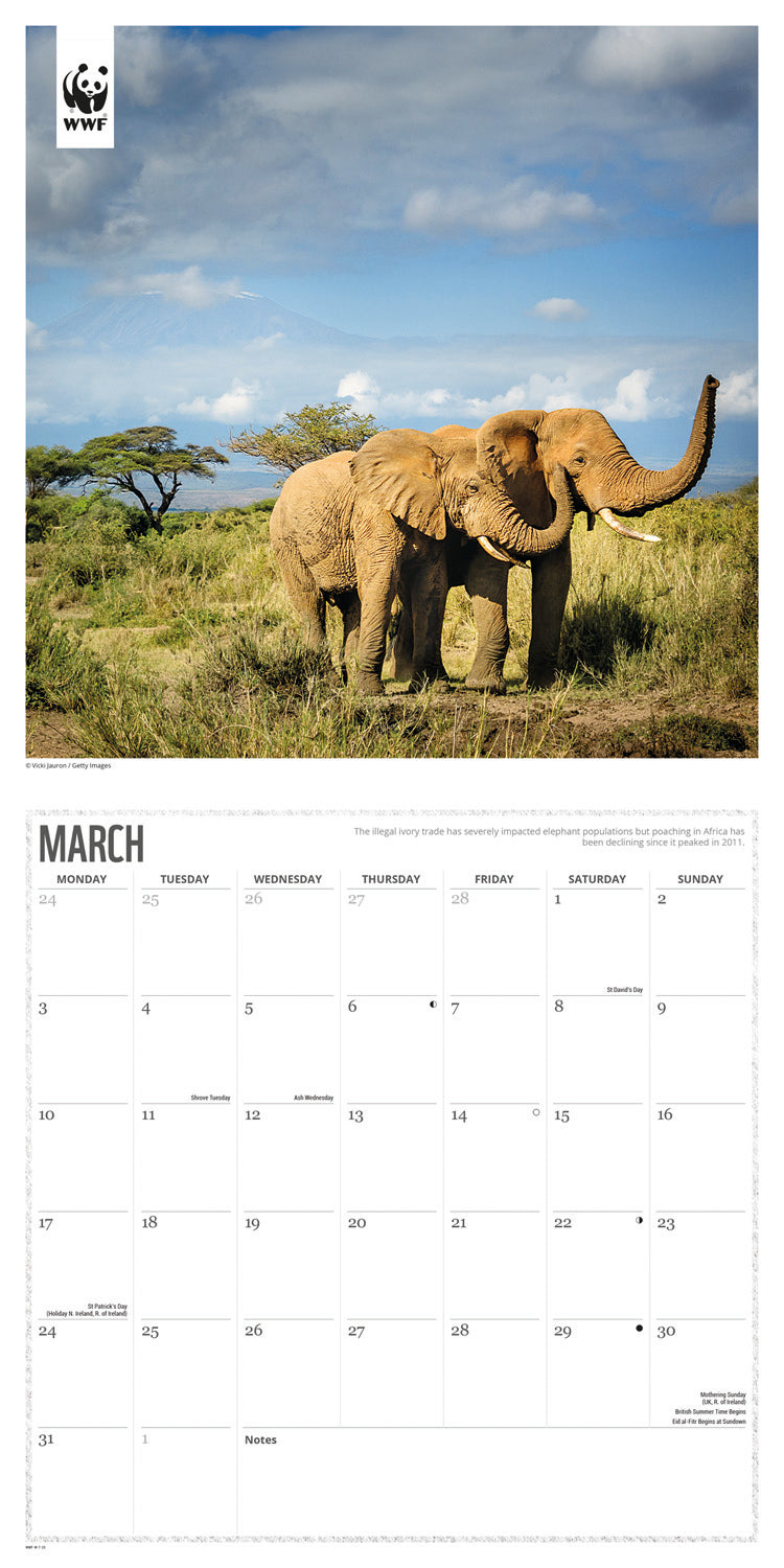 WWF, Elephants (PFP) Wall Calendar 2025