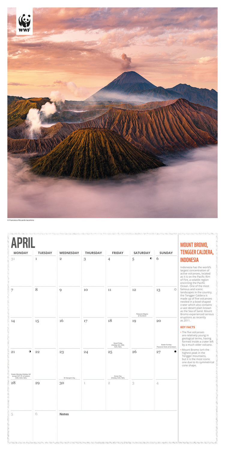 WWF, Fragile Earth, (PFP) Wall Calendar 2025