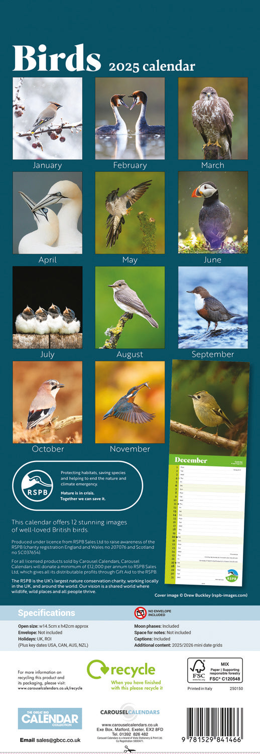 RSPB Birds (PFP) Slim Calendar 2025