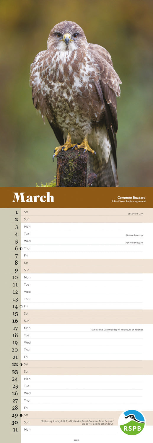 RSPB Birds (PFP) Slim Calendar 2025