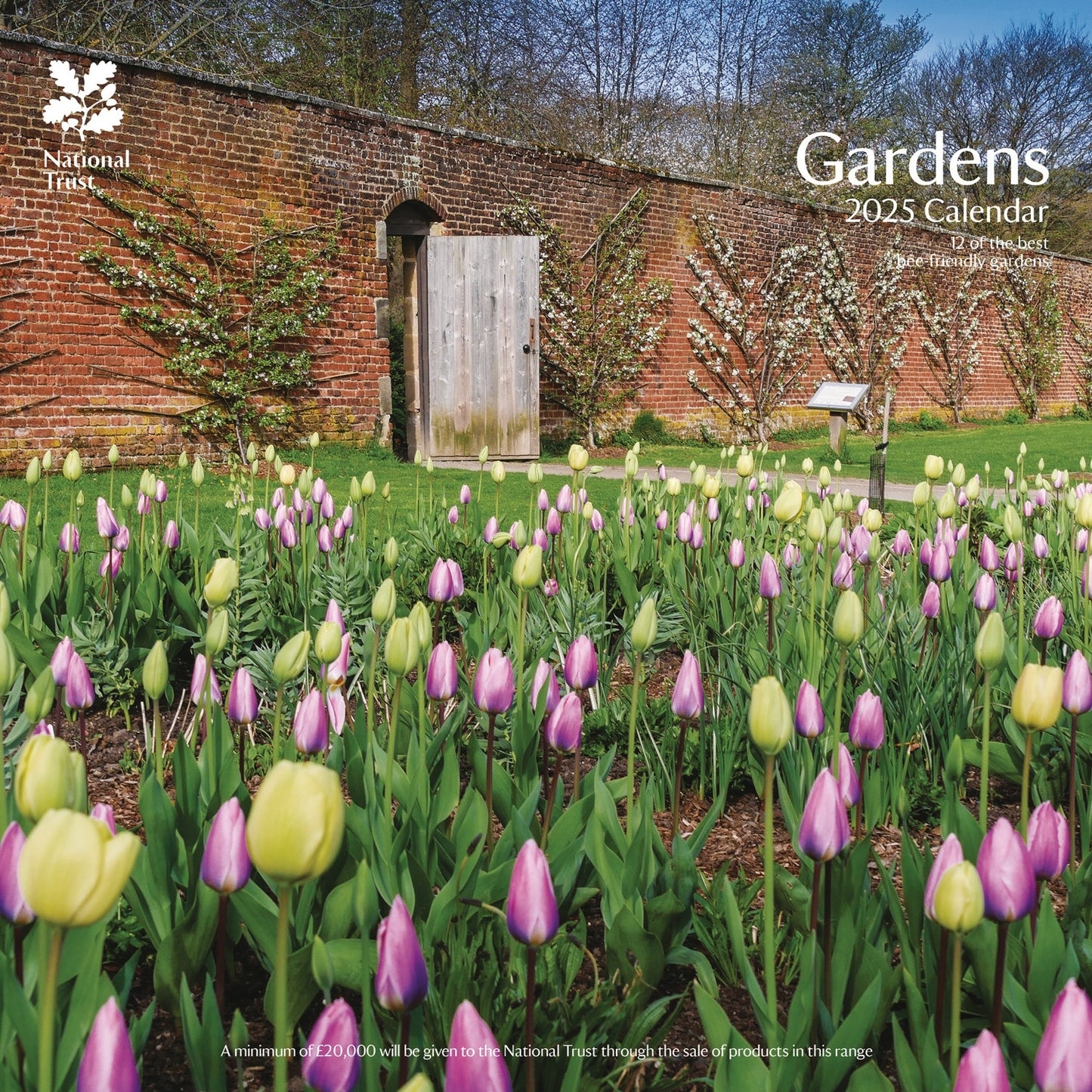 Gardens, National Trust (PFP) Wall Calendar 2025