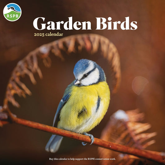 RSPB Garden Birds (PFP) Wall Calendar 2025