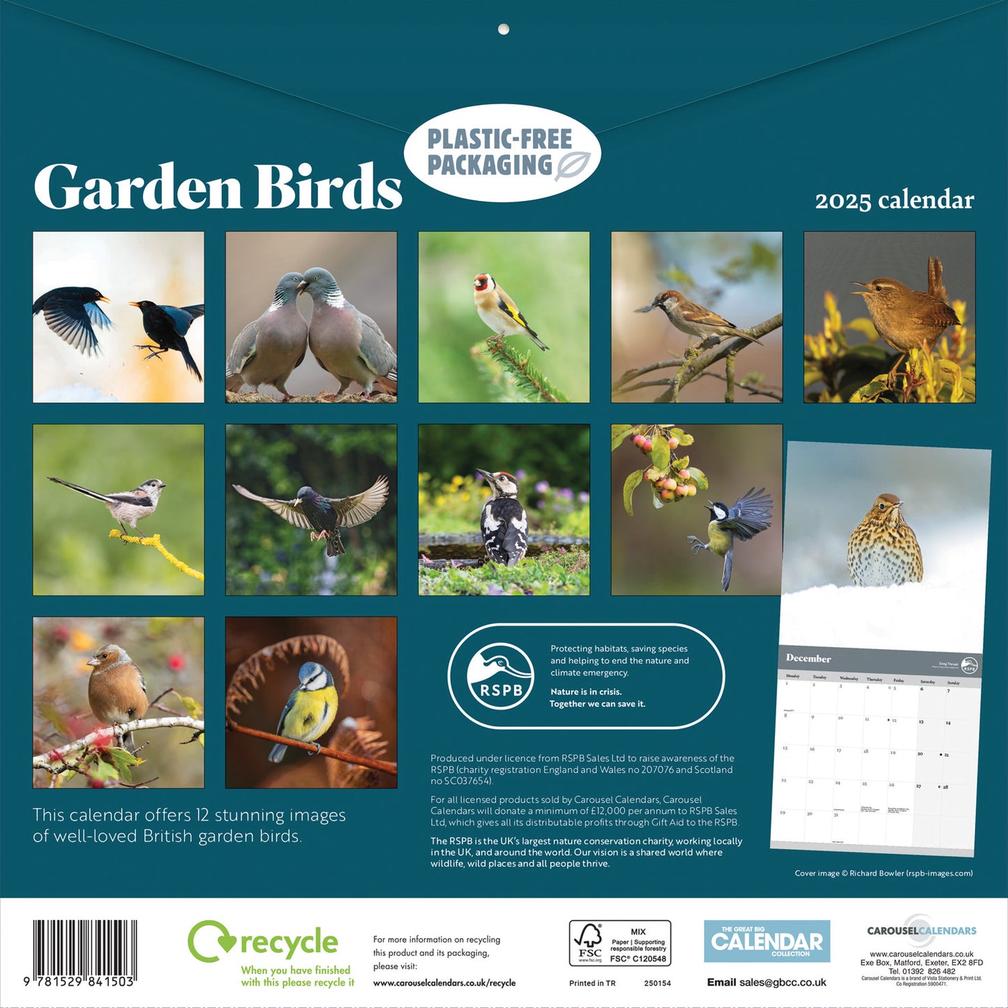 RSPB Garden Birds (PFP) Wall Calendar 2025