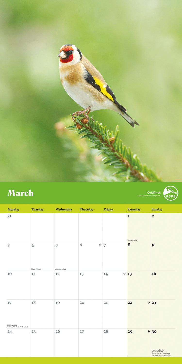 RSPB Garden Birds (PFP) Wall Calendar 2025