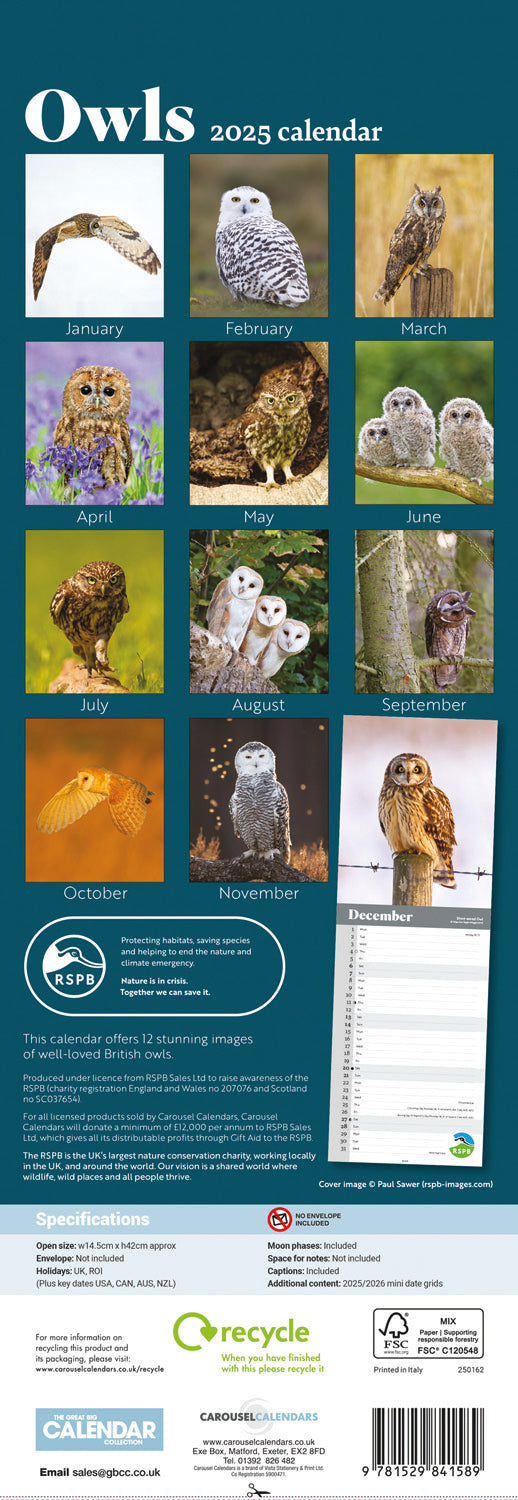 RSPB Owls (PFP) Slim Calendar 2025