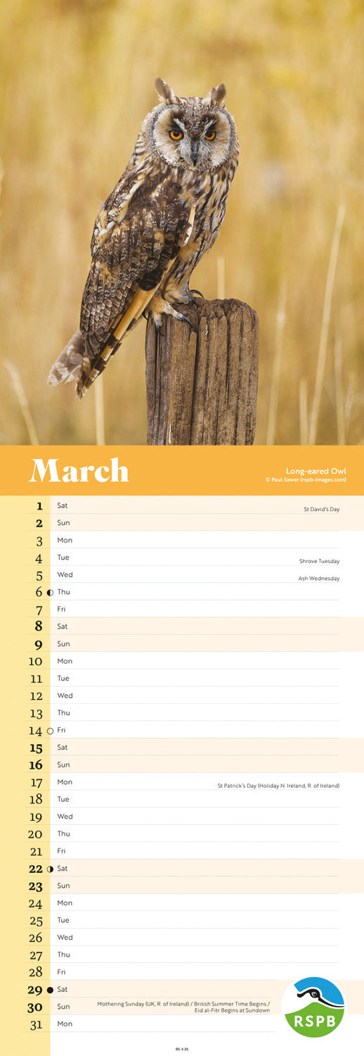 RSPB Owls (PFP) Slim Calendar 2025