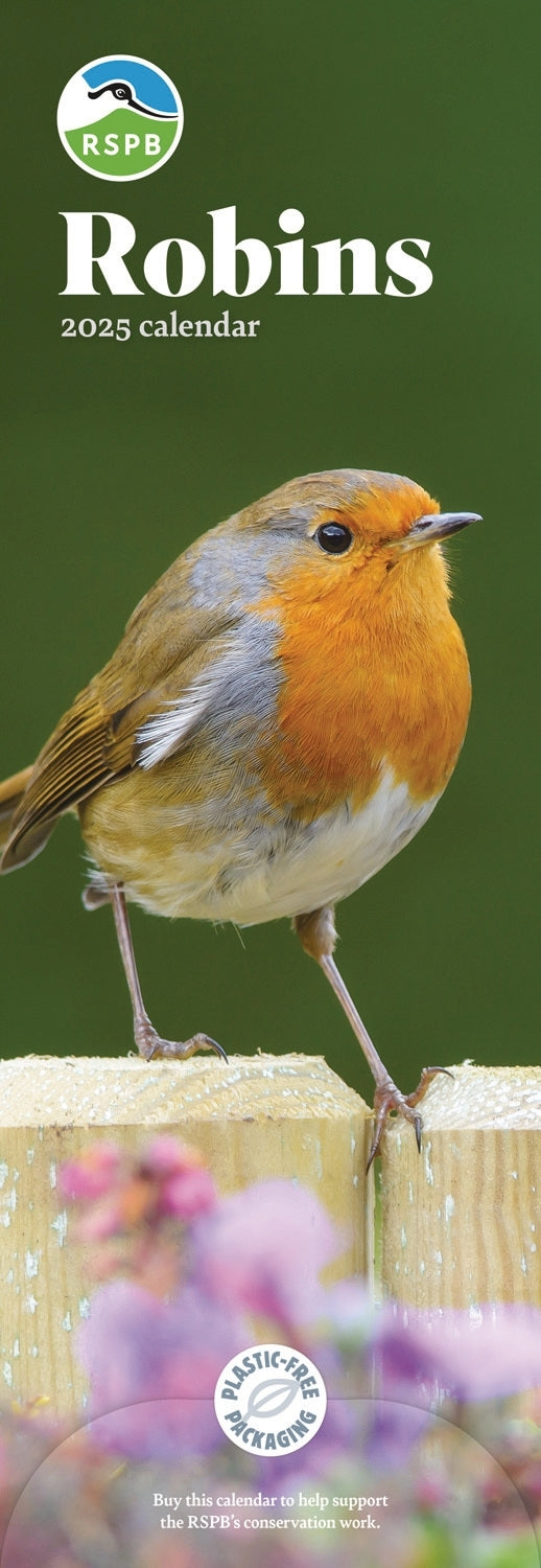 RSPB Robins (PFP) Slim Calendar 2025