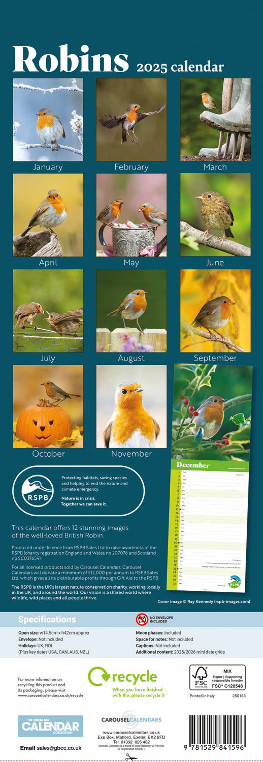 RSPB Robins (PFP) Slim Calendar 2025