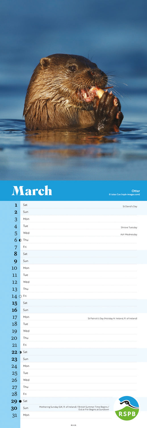 RSPB Wildlife (PFP) Slim Calendar 2025