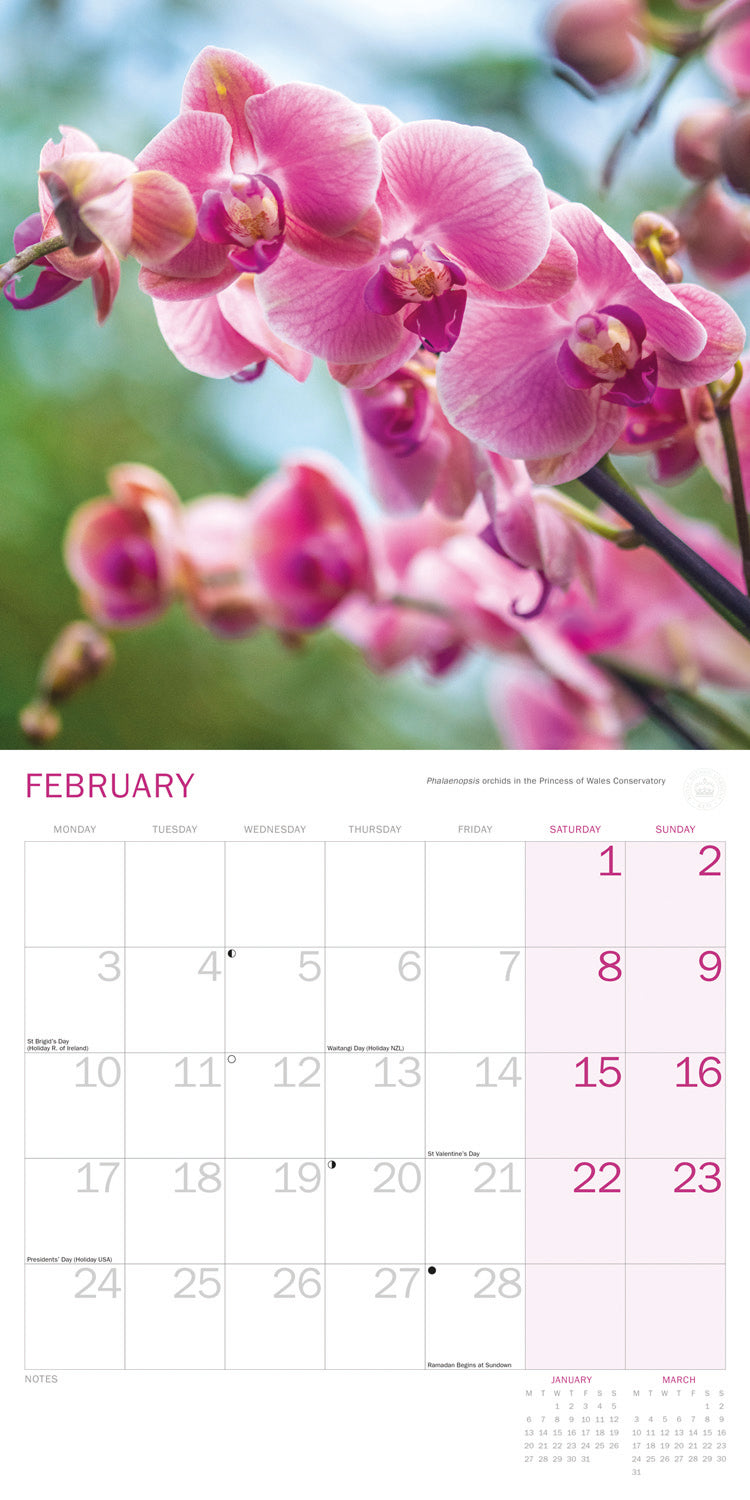 Royal Botanic Gardens Kew, Kew in Colour (PFP) Wall Calendar 2025