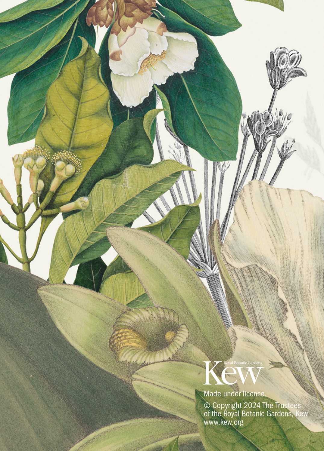 Royal Botanic Kew Gardens A6 Diary 2025