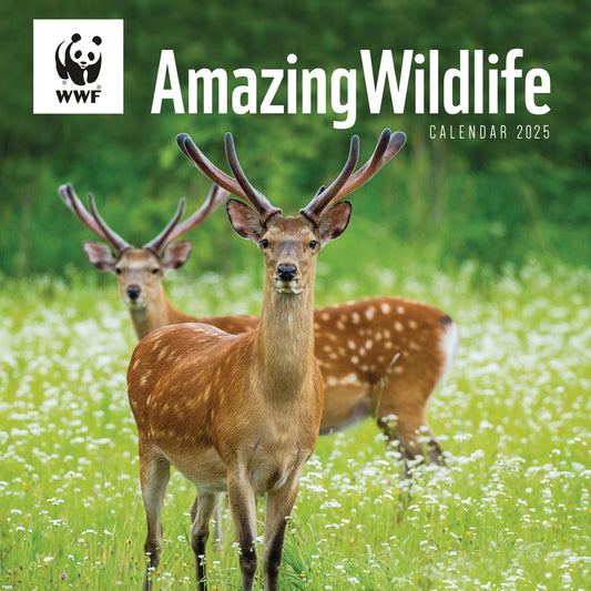 WWF Amazing Wildlife (PFP) Wall Calendar 2025