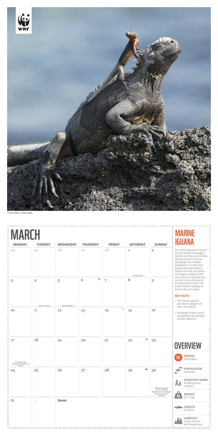 WWF Amazing Wildlife (PFP) Wall Calendar 2025