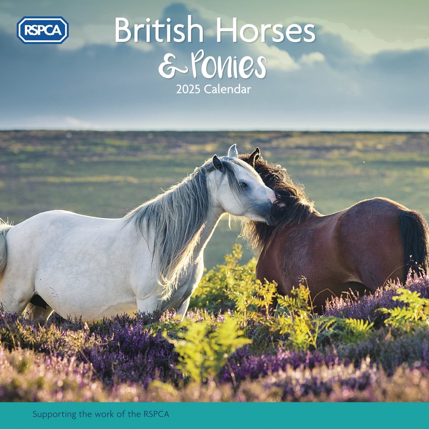 RSPCA British Horses & Ponies Wall Calendar (PFP) 2025