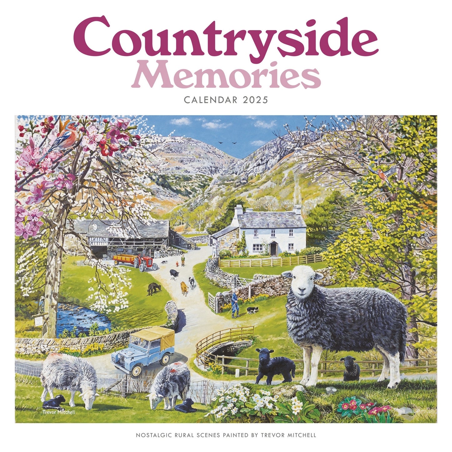 Countryside Memories, Trevor Mitchell Wiro Wall Calendar 2025