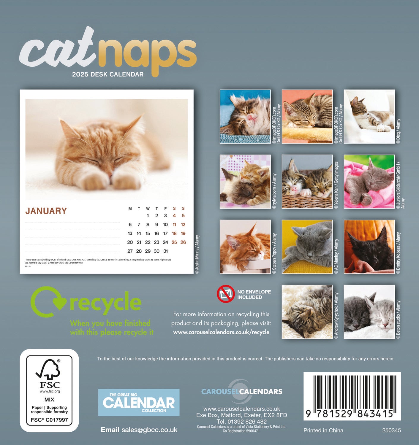 Cat Naps Desk Easel Calendar 2025