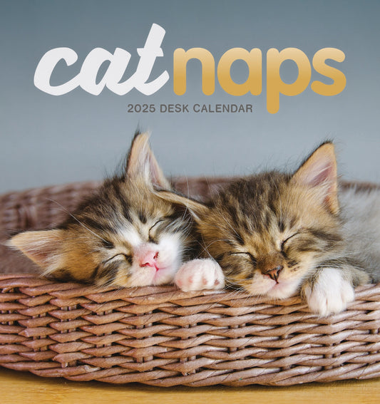 Cat Naps Desk Easel Calendar 2025