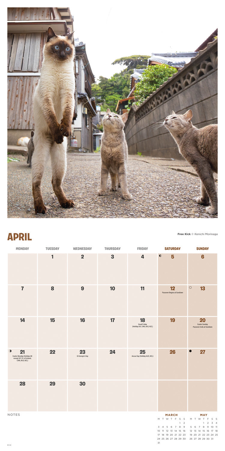 Comedy Pet Photography Awards (PFP) Wall Calendar 2025