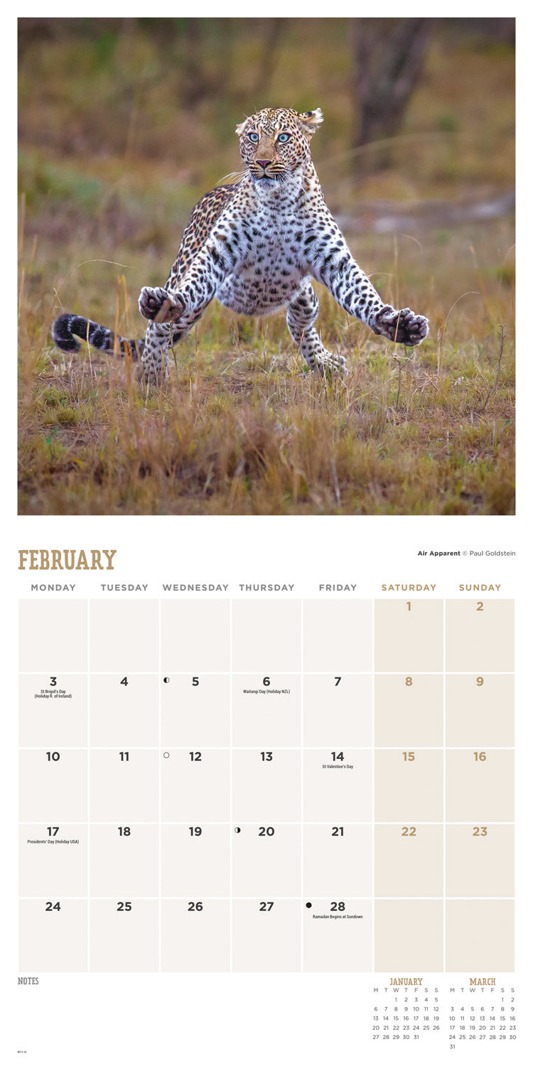 Comedy Wildlife Photography Awards (PFP) Wall Calendar 2025