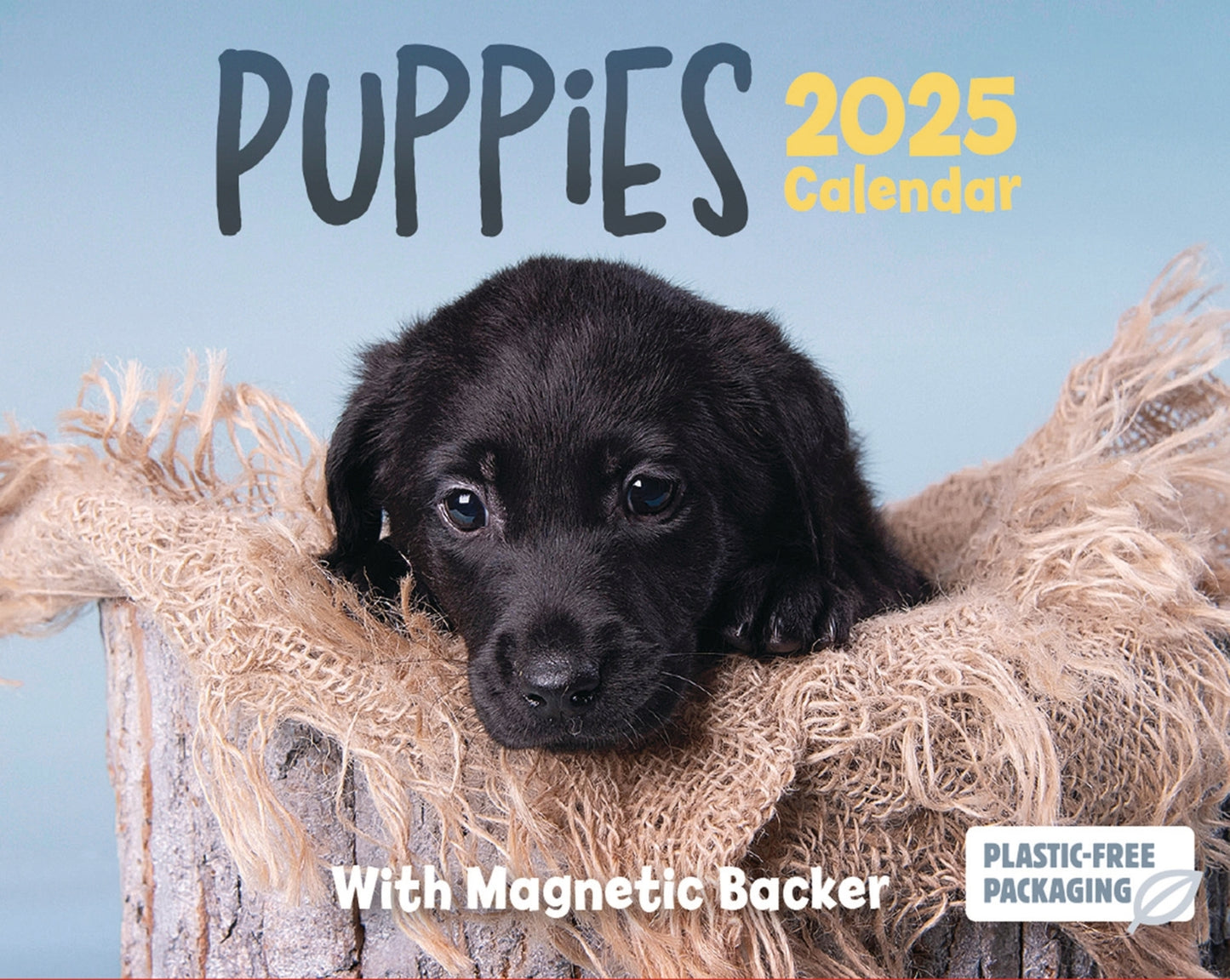 Puppies Mini Box Calendar 2025