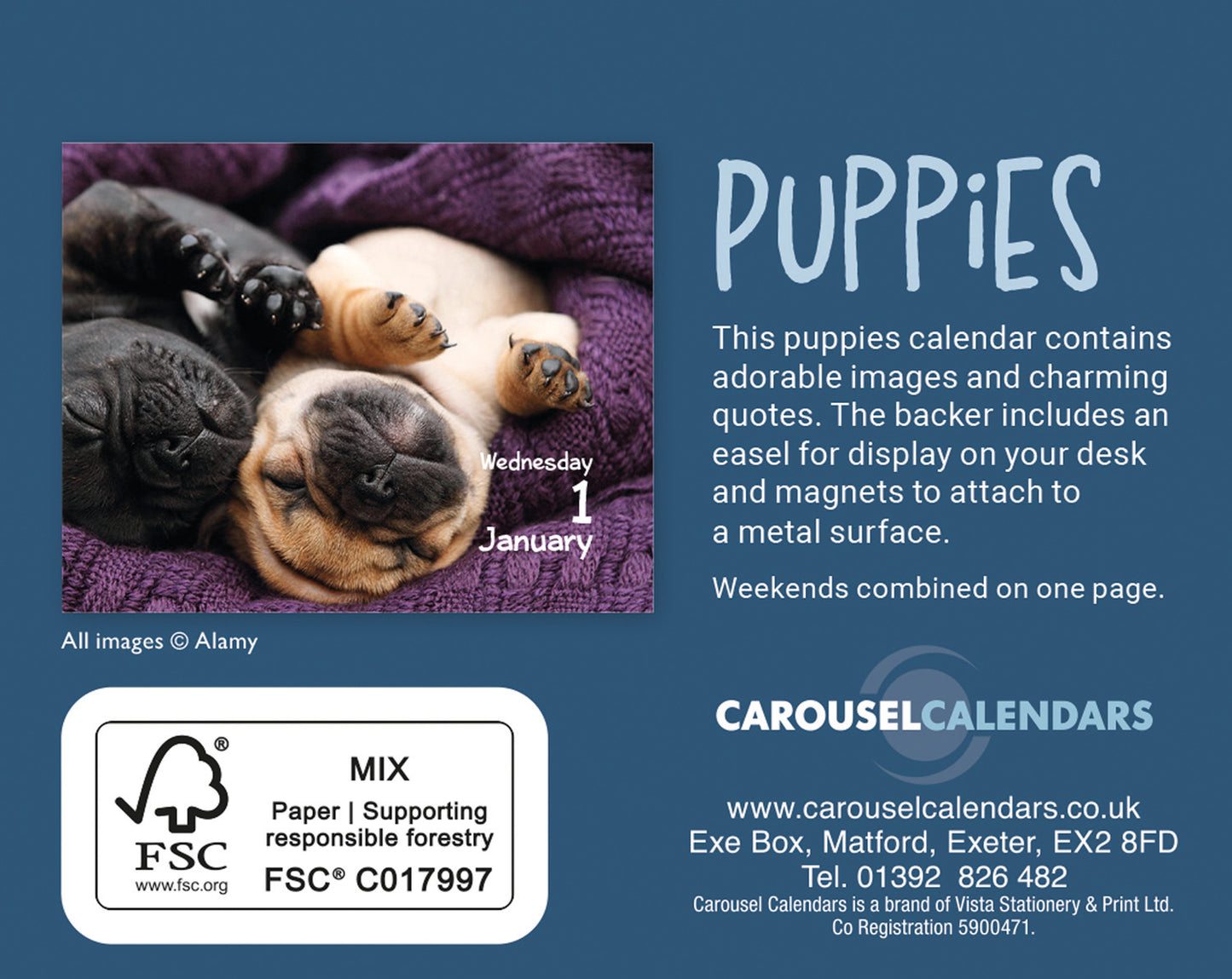 Puppies Mini Box Calendar 2025