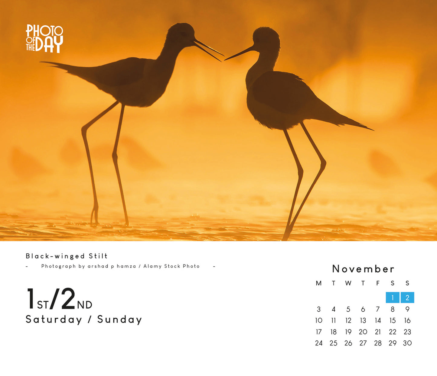 Photo of the Day Box Calendar 2025