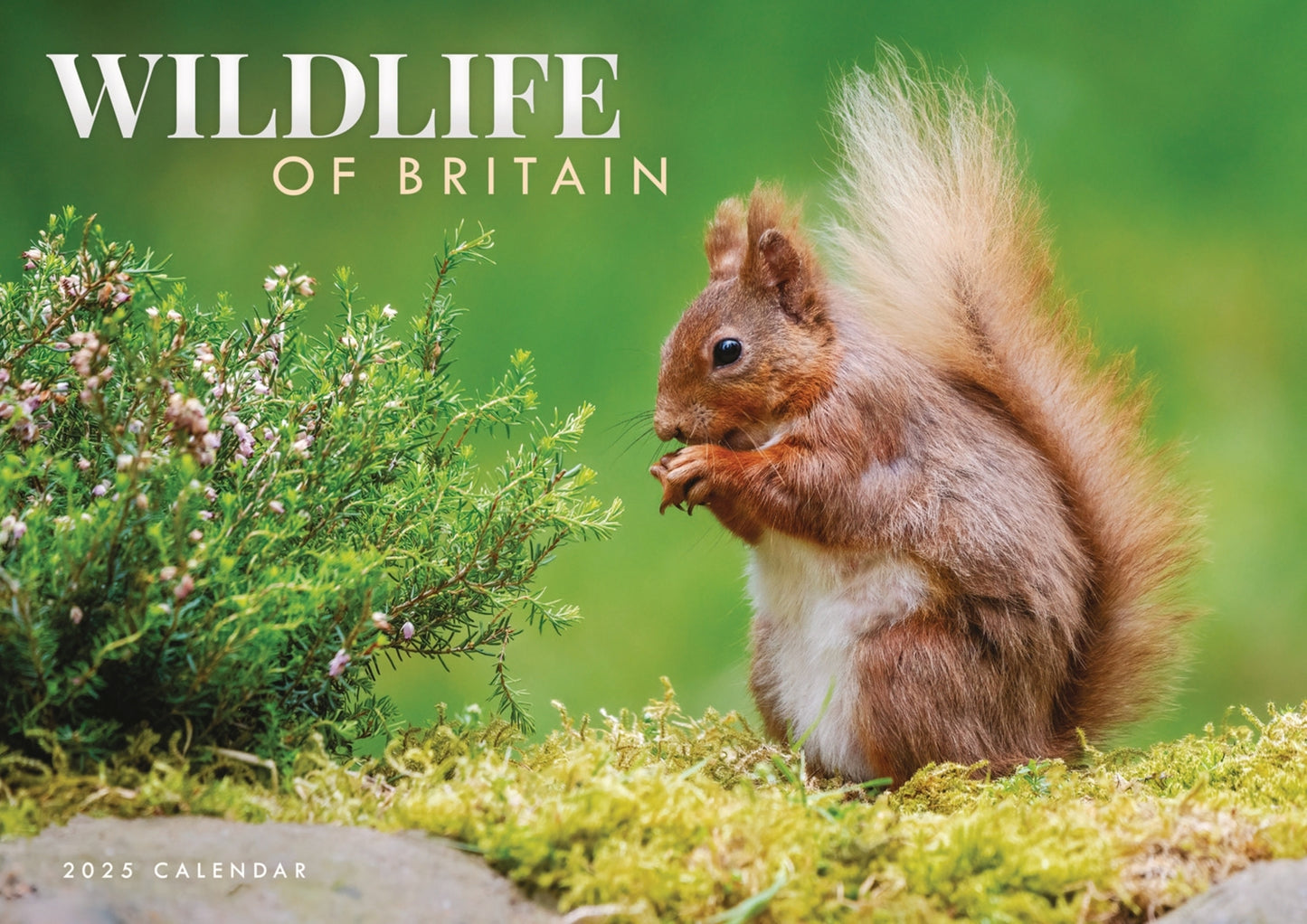 Wildlife of Britain (PFP) A4 Calendar 2025