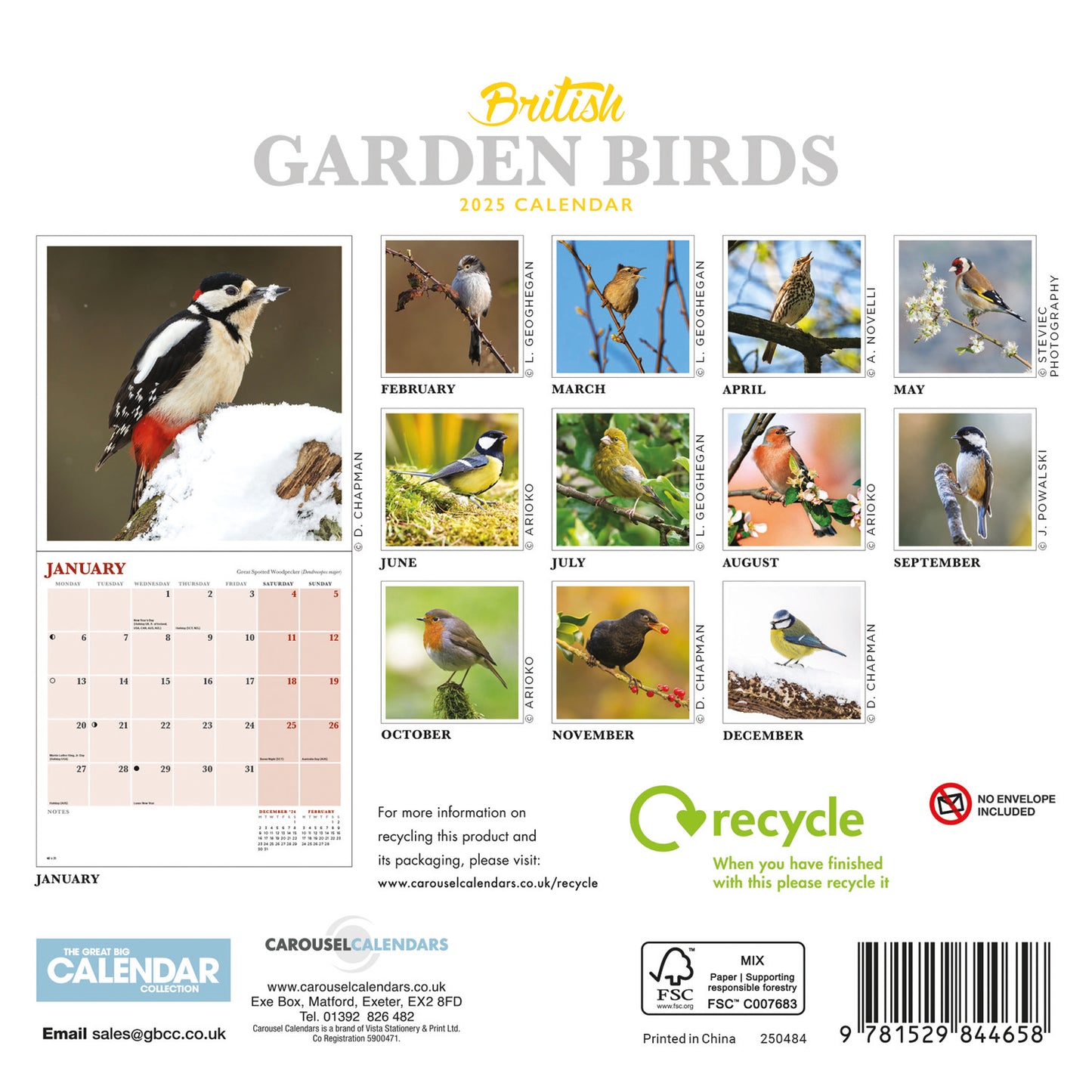 British Garden Birds Mini Calendar 2025