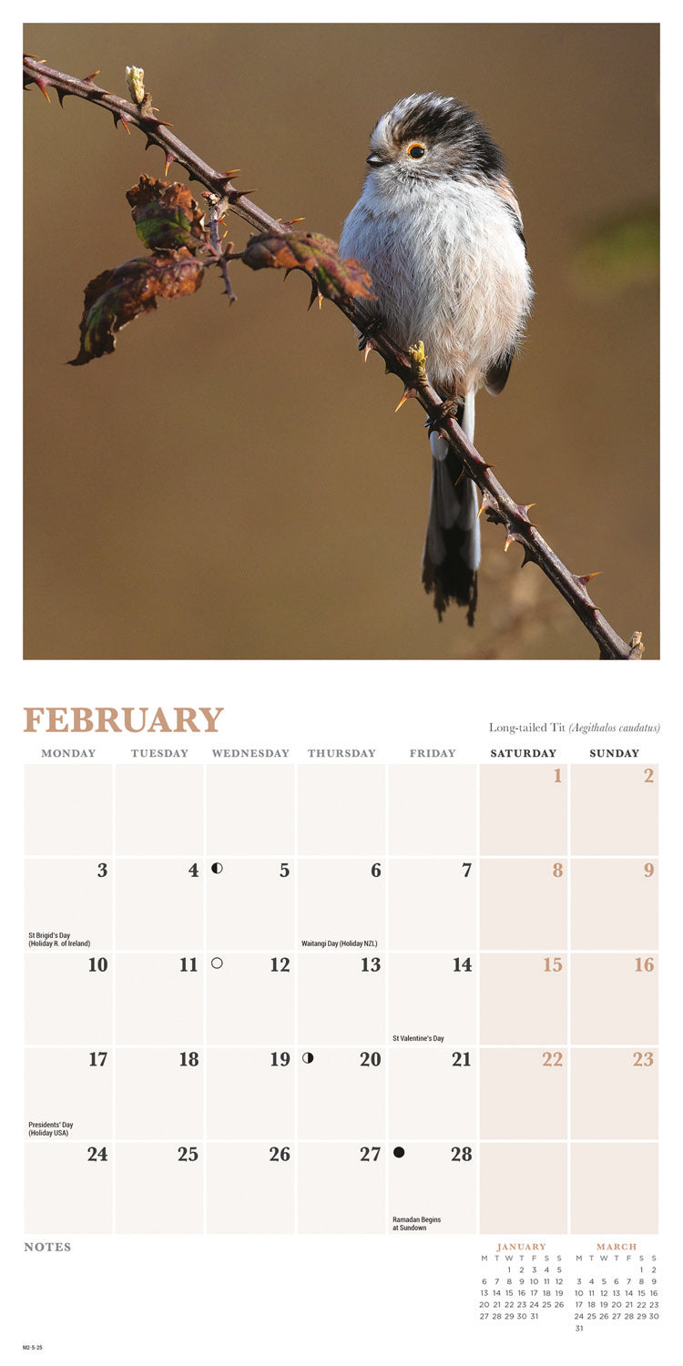 British Garden Birds Mini Calendar 2025