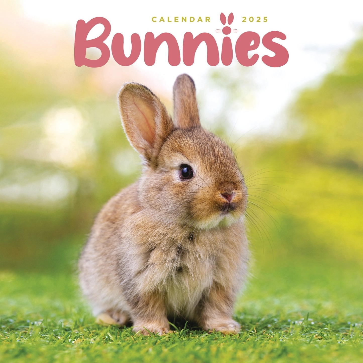 Bunnies Mini Calendar 2025