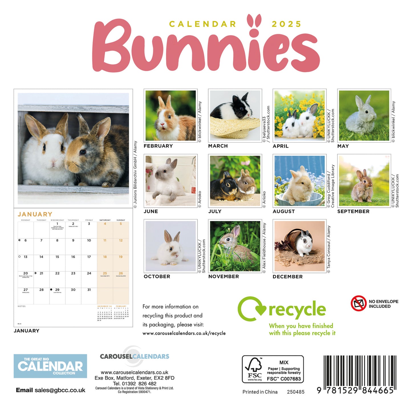 Bunnies Mini Calendar 2025