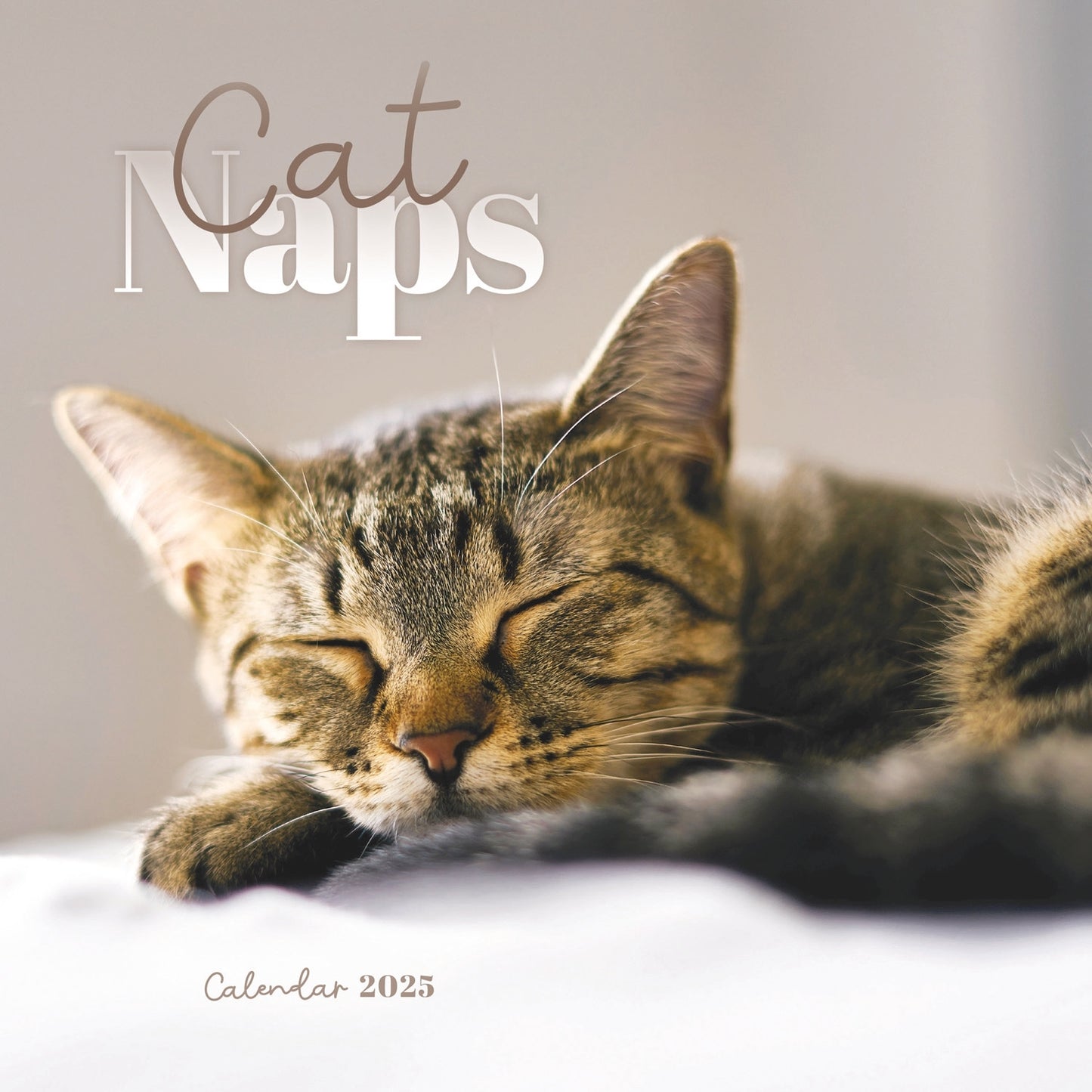 Cat Naps Mini Calendar 2025