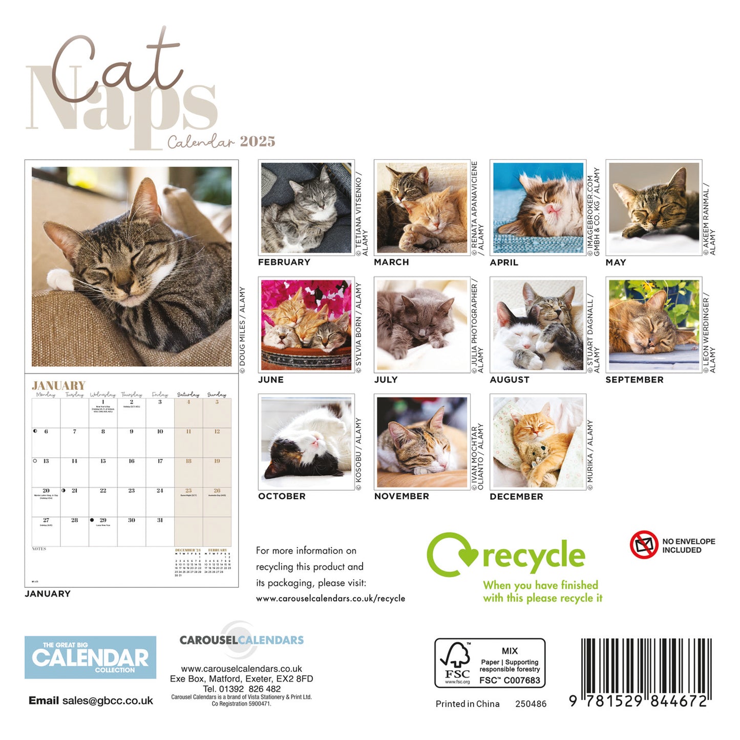 Cat Naps Mini Calendar 2025