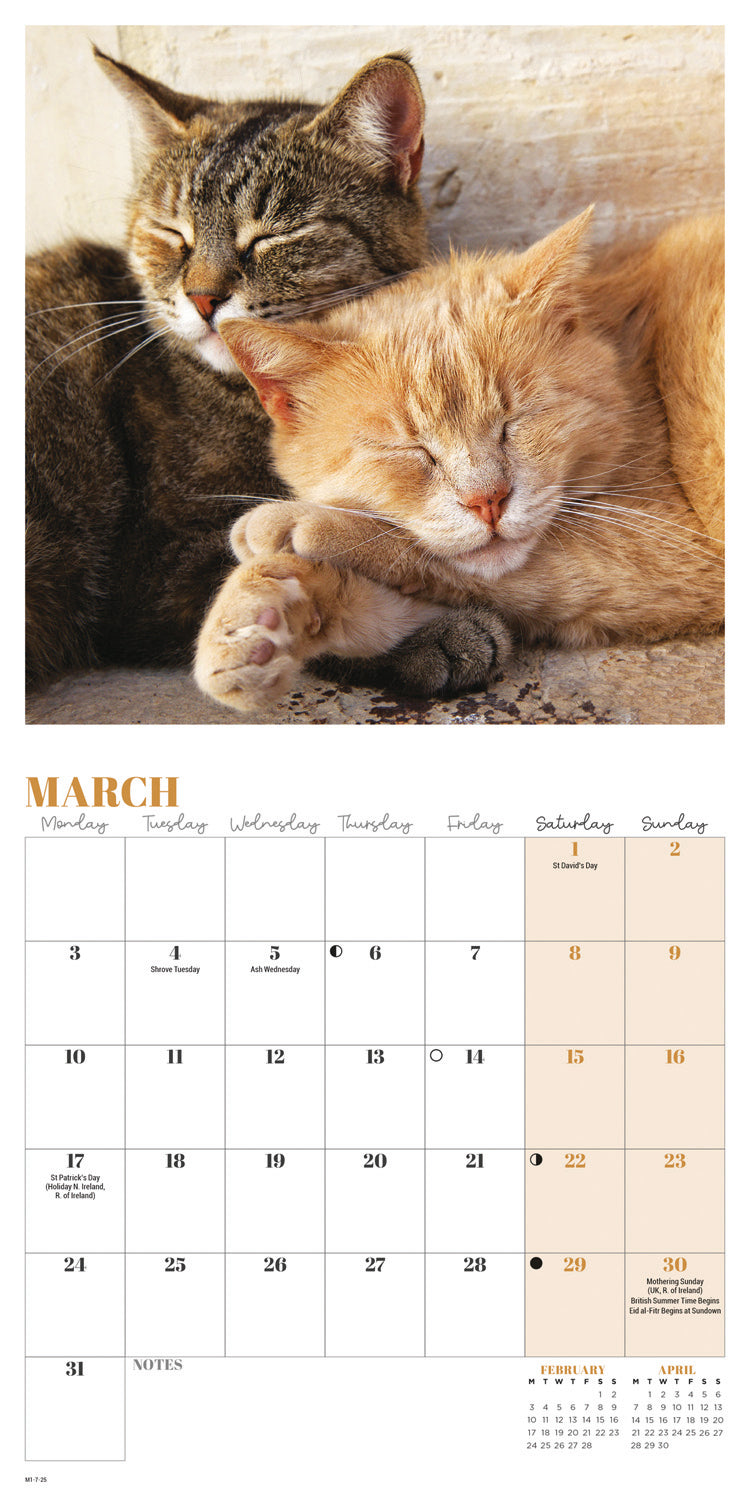 Cat Naps Mini Calendar 2025