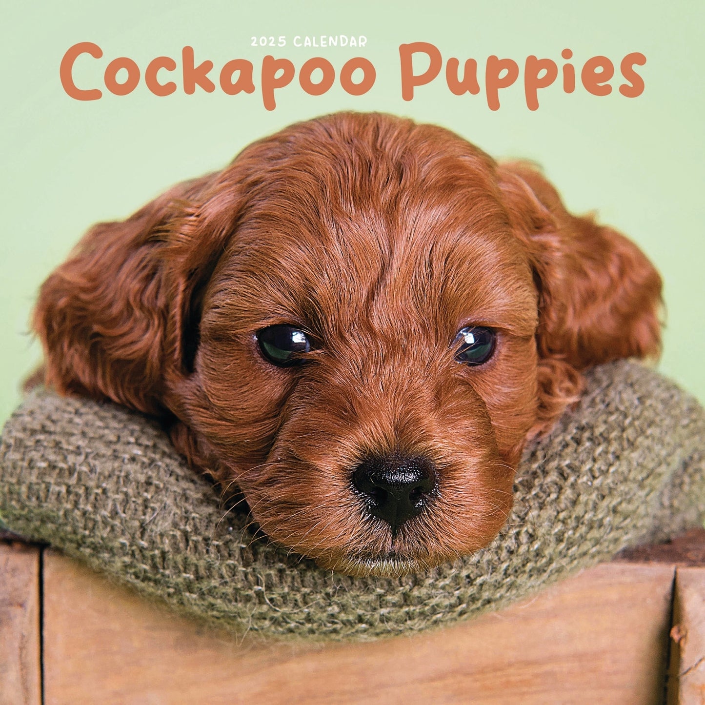 Cockapoo Puppies Mini Calendar 2025