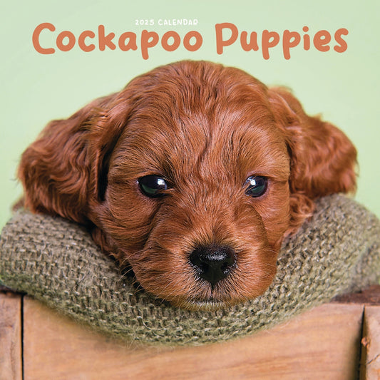 Cockapoo Puppies Mini Calendar 2025