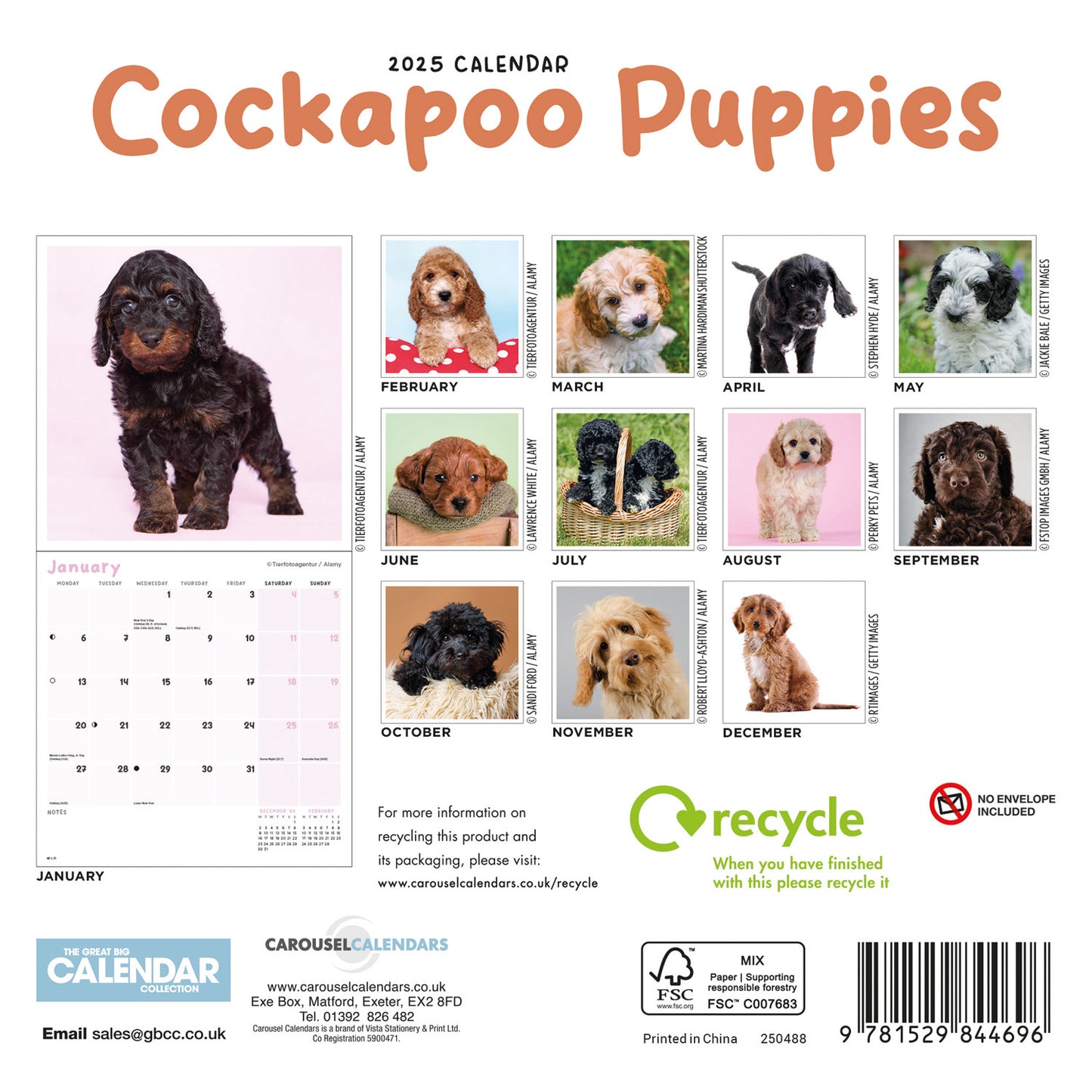 Cockapoo Puppies Mini Calendar 2025