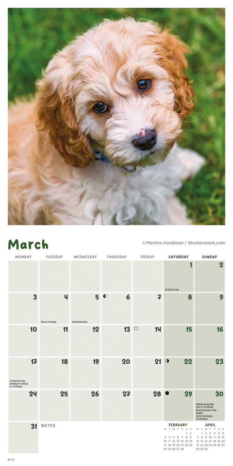 Cockapoo Puppies Mini Calendar 2025