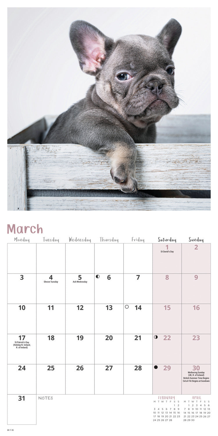 French Bulldogs Mini Calendar 2025