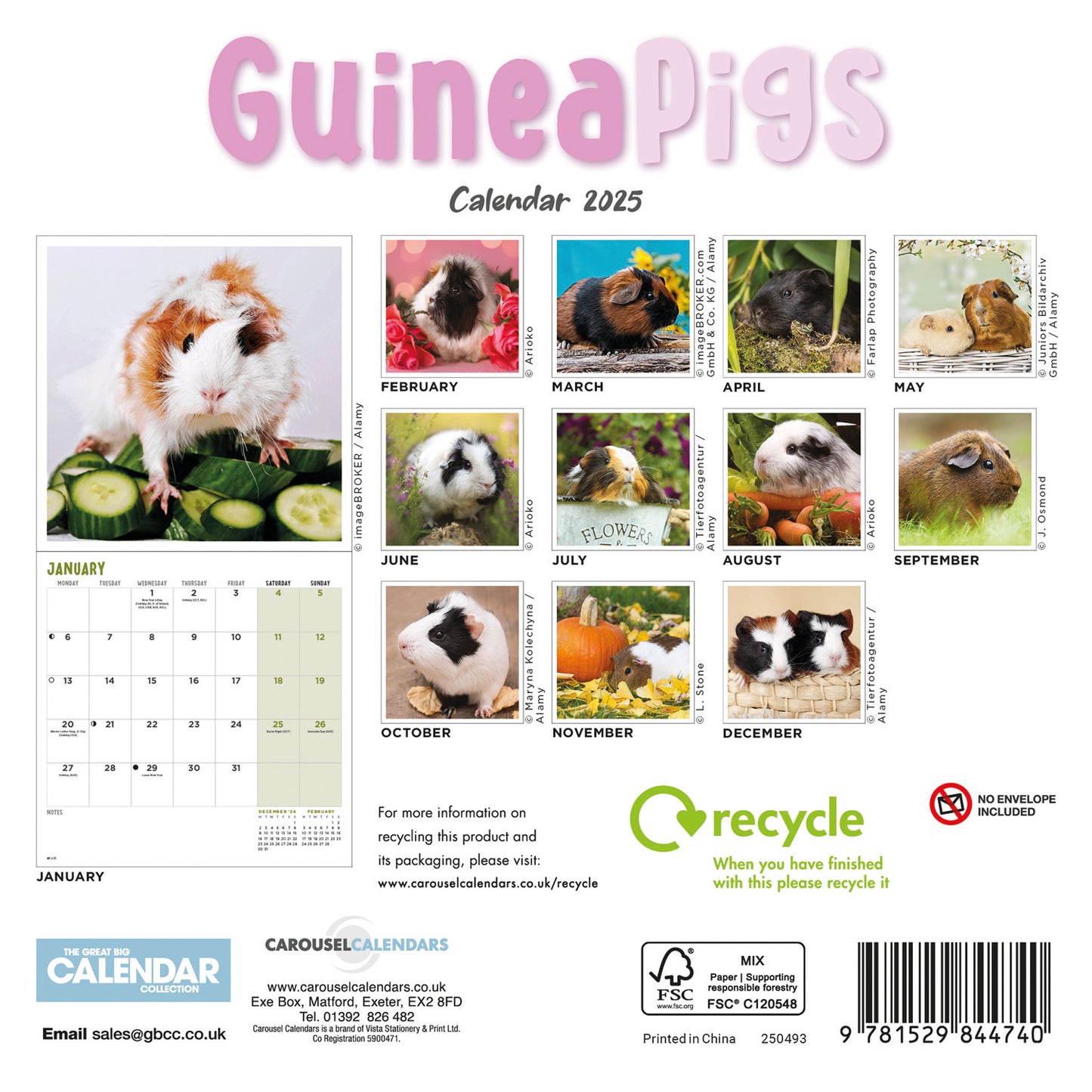 Guinea Pigs Mini Calendar 2025