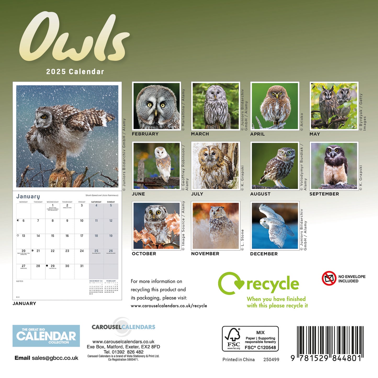 Owls Mini Calendar 2025